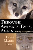 Through Animals' Eyes, Again,  a Science audiobook