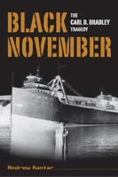 Black November,  read by Todd  Curless