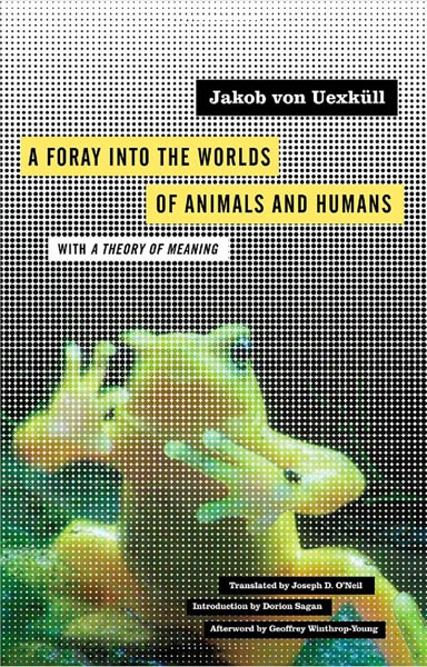 A Foray into the Worlds of Animals and Humans